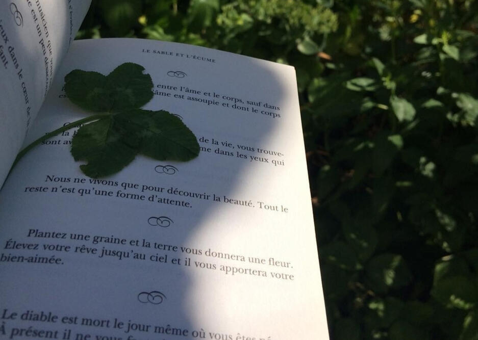 Khalil Gibran&#39;s good luck